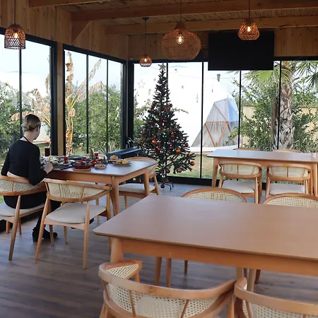 Hotel Mandalin Glamping Selçuk