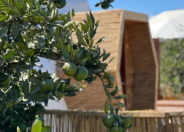 Mandalin Glamping Hotel