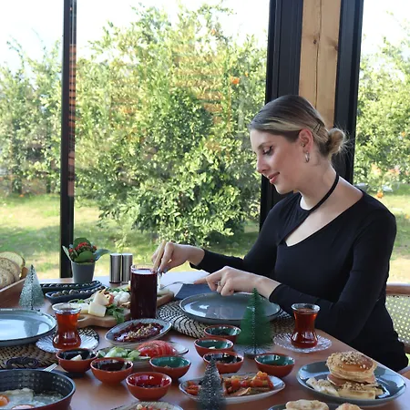 Mandalin Glamping Hotel