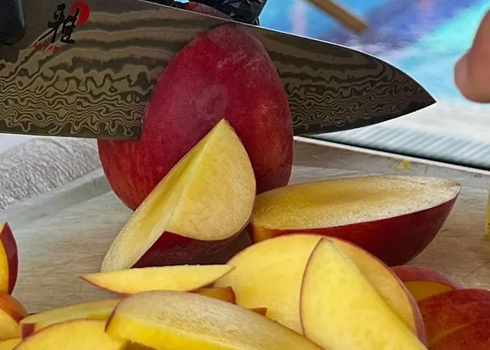 Otel Mandalin Glamping *